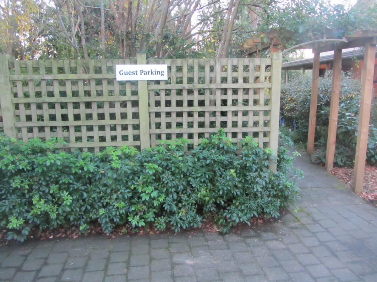 Bed and Breakfast Oldfields Geraldine Exterior foto